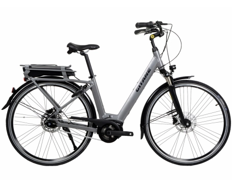 Vélo électrique urbain Unisexe E-CITY D28 500 Wh Gris